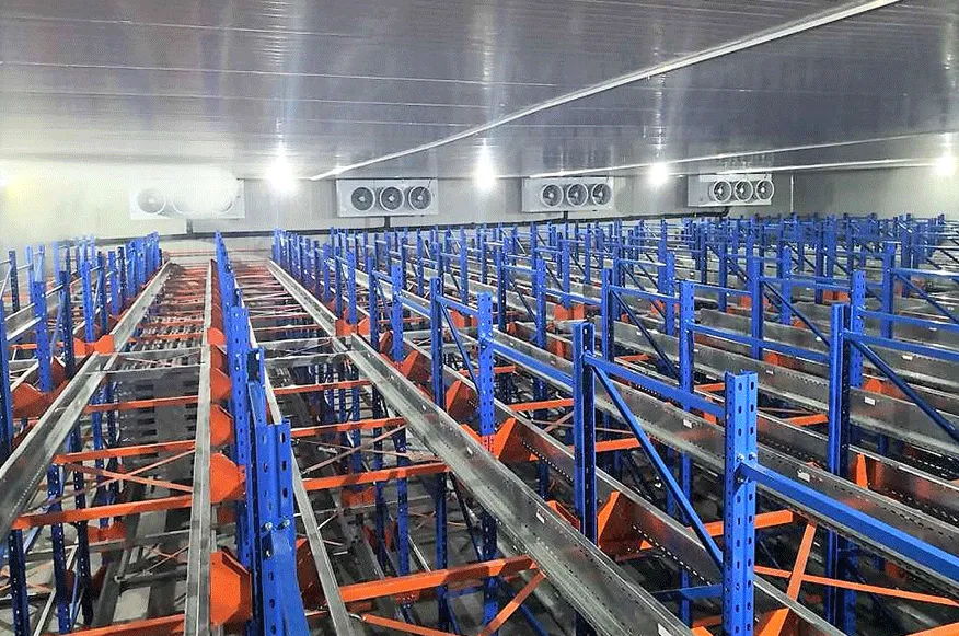 大型自動化冷庫的設計與安裝 大型自動化冷庫的設計與安裝