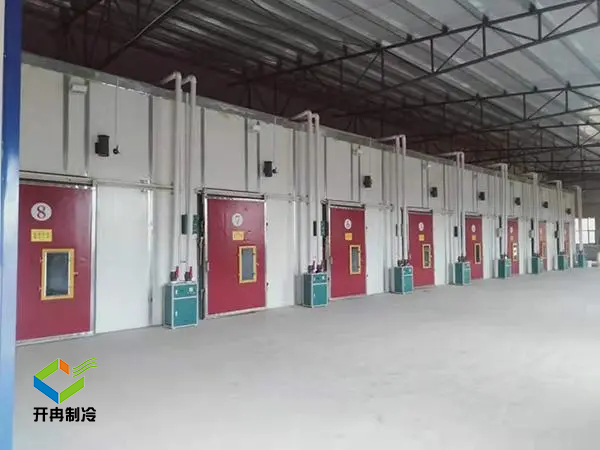 重慶水果氣調(diào)保鮮冷庫建造 重慶水果氣調(diào)保鮮冷庫建造
