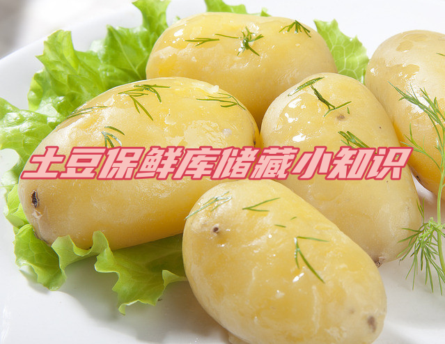 土豆保鮮庫儲存方法解析，延長土豆保鮮期的秘訣