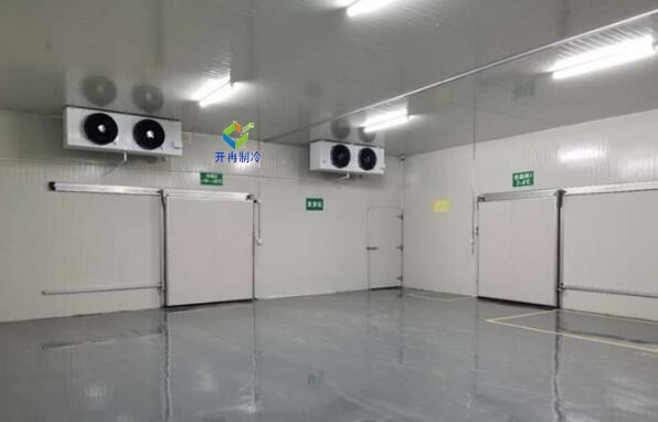 打造智能化電商生鮮冷庫，解鎖鮮活食材的流通奧秘