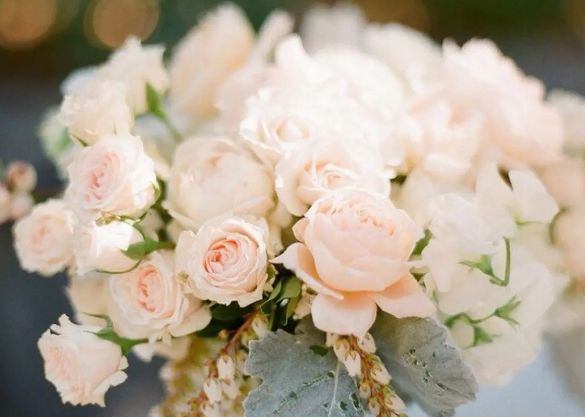 揭秘鮮花冷庫的保鮮奧秘，花束如何嬌艷不凋零？