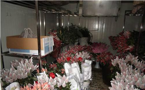 玫瑰花冷庫(kù)