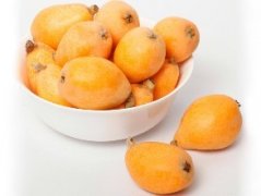 枇杷冷庫貯藏技術(shù)介紹，枇杷冷庫造價(jià)是多少