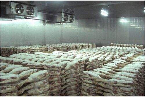 800平米禽肉冷庫(kù)