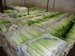 1500噸蔬菜保鮮冷庫(kù)設(shè)計(jì)重點(diǎn)及造價(jià)多少錢(qián)