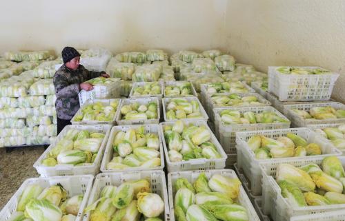 山東大型蔬菜冷庫