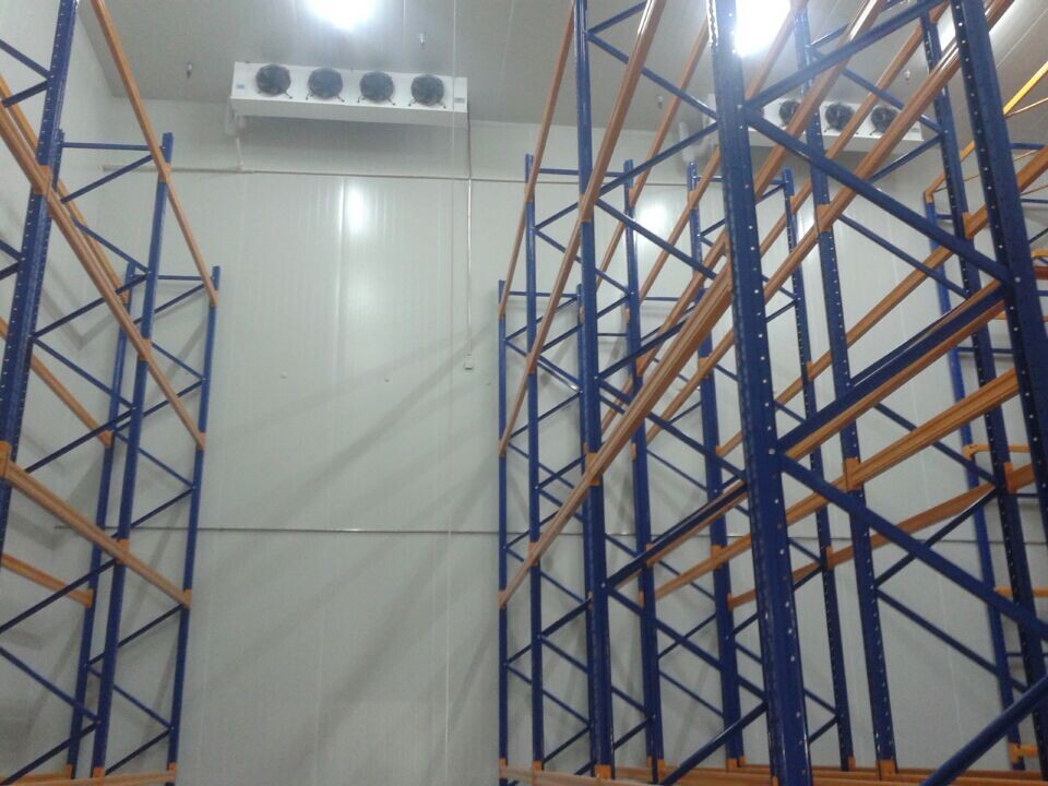 1000噸大姜冷庫 1000噸大姜冷庫