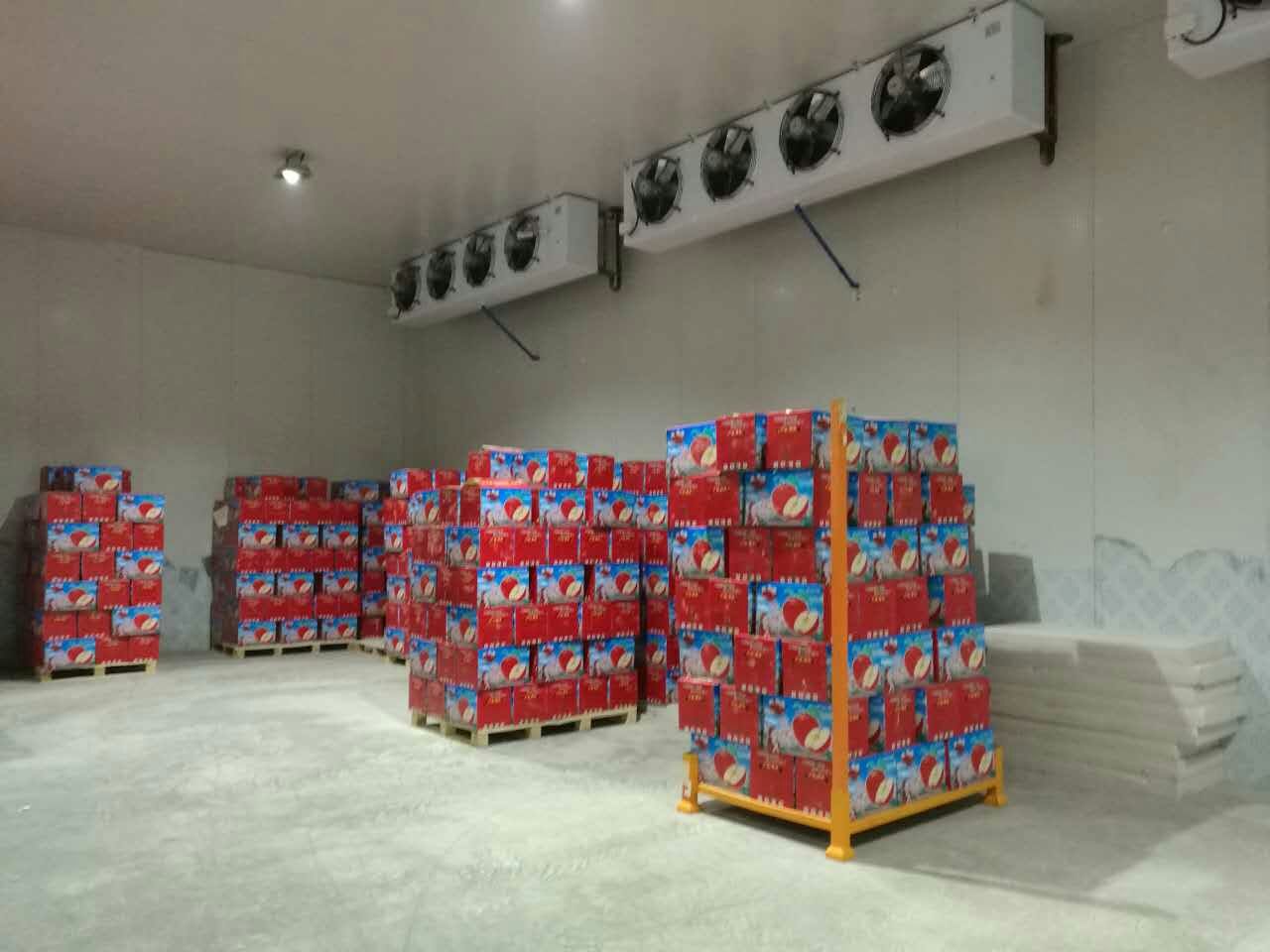 5000噸水果冷庫 5000噸水果冷庫