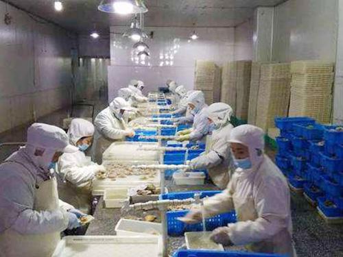 3000立方水產(chǎn)魚蝦冷藏庫 3000立方水產(chǎn)魚蝦冷藏庫