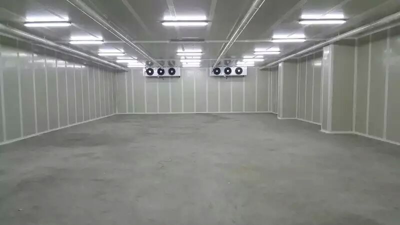 500噸香蕉水果氣調(diào)庫 500噸香蕉水果氣調(diào)庫