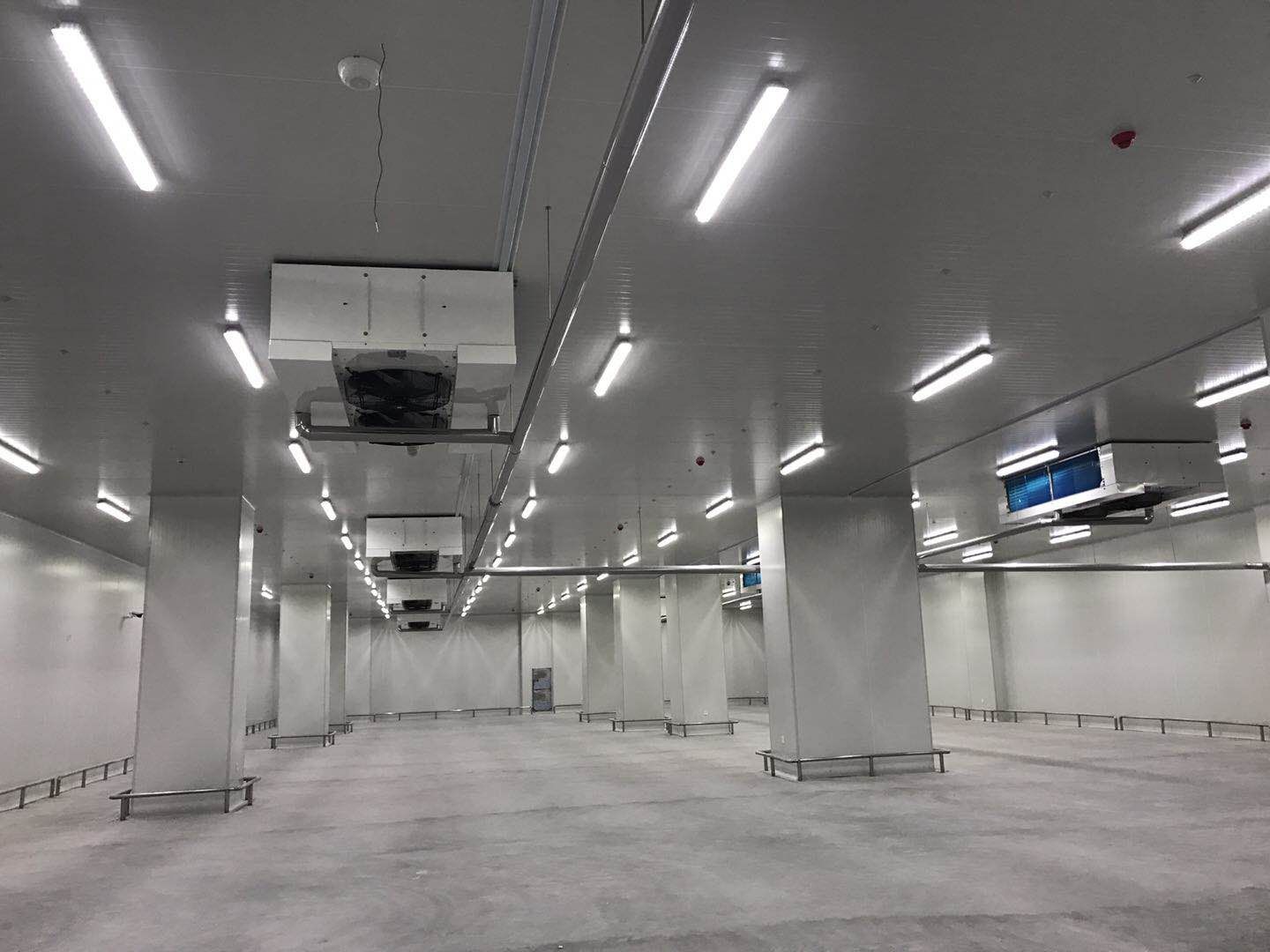 500平米食品冷庫建造,-23℃冷凍庫造價(jià)多少錢 500平米食品冷庫建造,-23℃冷凍庫造價(jià)多少錢