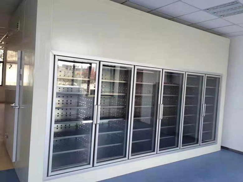 2-8℃后補式冷庫(醫(yī)院冷藏庫)定制建設(shè)造價多少錢 2-8℃后補式冷庫(醫(yī)院冷藏庫)定制建設(shè)造價多少錢