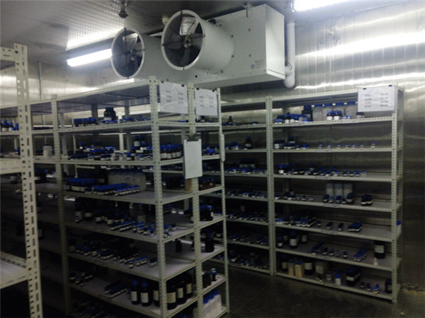 500平米2-8℃藥品冷庫(kù) 500平米2-8℃藥品冷庫(kù)