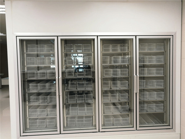 三甲醫(yī)藥冷庫(kù)(后補(bǔ)式冷庫(kù)) 三甲醫(yī)藥冷庫(kù)(后補(bǔ)式冷庫(kù))