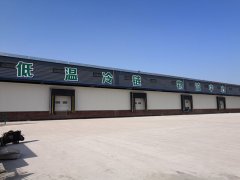 冷鏈市場加速發(fā)展,冷鏈物流要火了