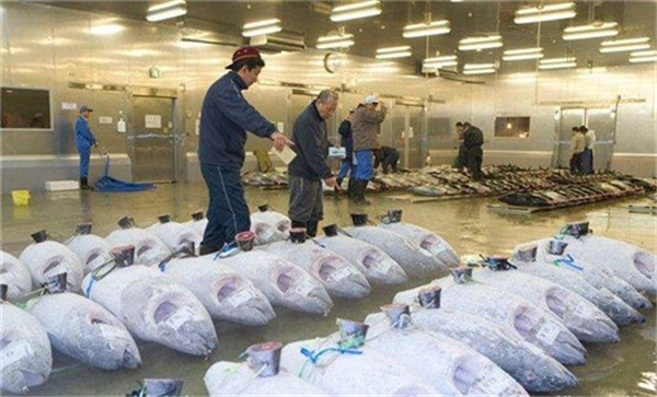 　水產冷庫、三文魚生魚片冷庫