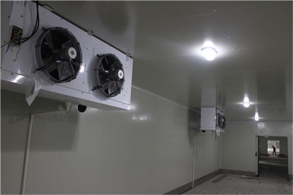 畜禽肉冷凍冷庫冷風機 畜禽肉冷凍冷庫冷風機