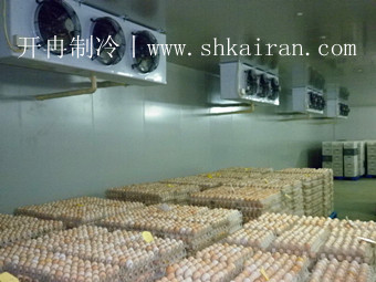 禽蛋保鮮冷庫，鵪鶉蛋冷庫