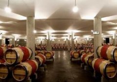 葡萄酒恒溫冷庫:紅酒儲(chǔ)存溫度是多少