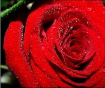 果蔬、鮮花氣調(diào)冷庫設計保鮮效果更好