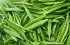 茶葉冷藏庫-安裝茶葉冷藏庫的優(yōu)勢特點(diǎn)