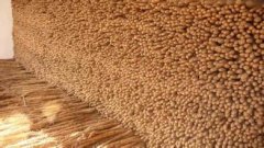 建一個山藥保鮮庫貯藏山藥有哪些好處？