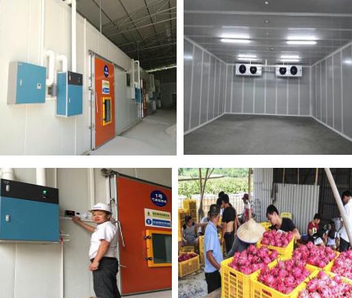 水果種植農(nóng)業(yè)專業(yè)合作社 火龍果保鮮庫(kù)、氣調(diào)庫(kù)案例