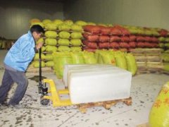 板栗冷庫價格多少錢一平方米?