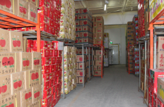 建造一個(gè)獼猴桃冷庫需要投資多少錢?