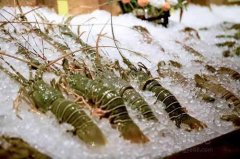 海鮮保存溫度?海鮮冷凍庫價(jià)格多少錢