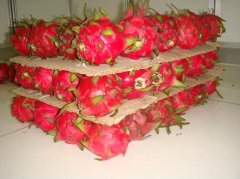 做一個(gè)水果氣調(diào)保鮮庫安裝大概需要多少錢?