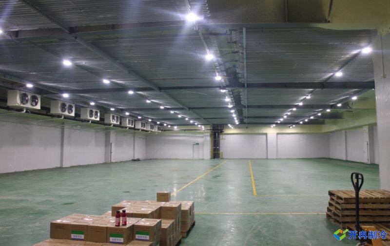 上海開冉為冰度倉儲(chǔ)提供2000平冷凍庫施工完工內(nèi)景圖