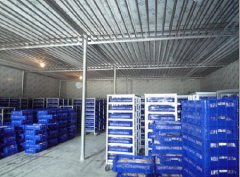 200噸葡萄保鮮庫建造,1000m3葡萄放冷庫可以放多久