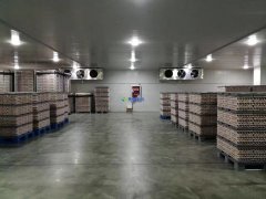 存儲食品冷藏庫設計建造多少錢一平米？保鮮冷藏庫設計