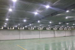 3000平米食品肉類冷凍庫常溫倉庫改造費用多少？