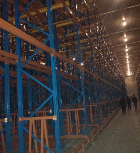 7000平生鮮水果冷庫建設方案，冷庫怎么設計報價？