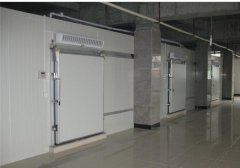 1000平米食品保鮮冷庫設計，冷庫造價多少